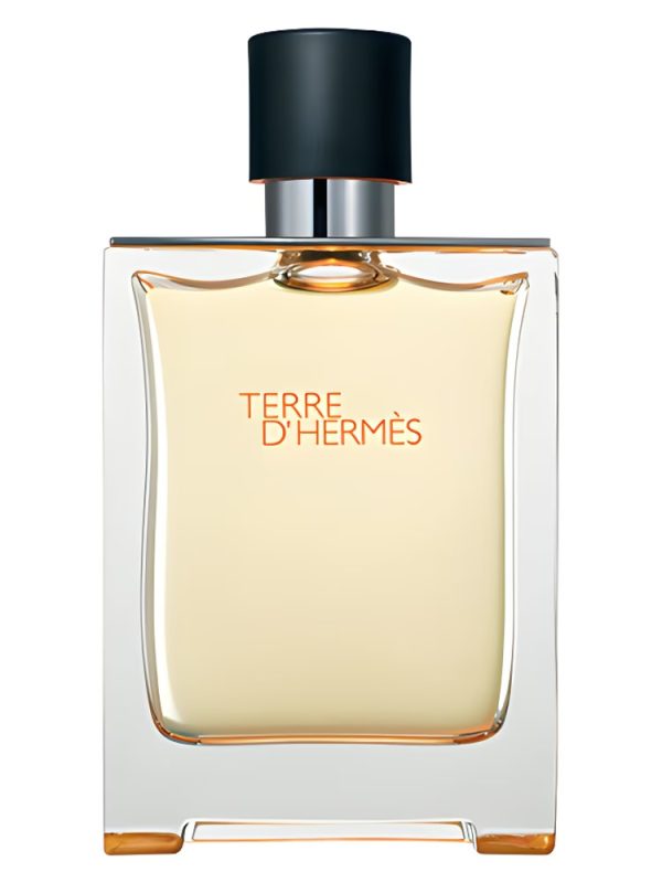 Hermes terre