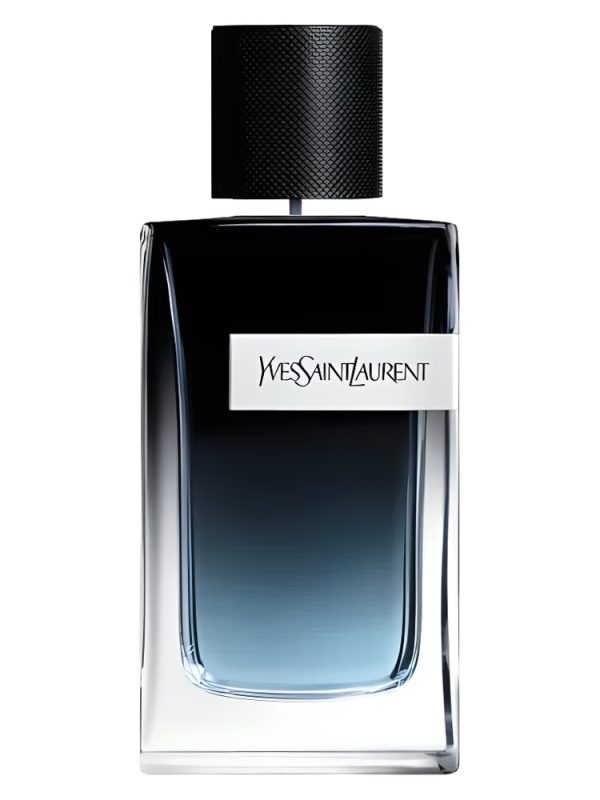 Yves saint laurent y