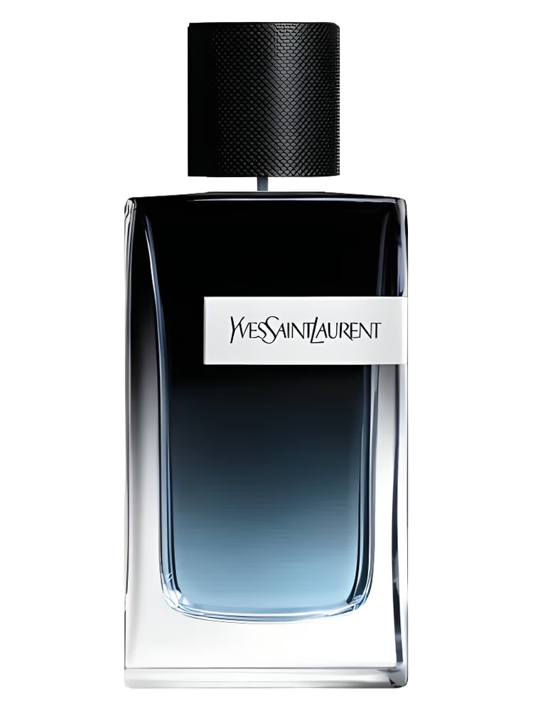 Yves saint laurent y